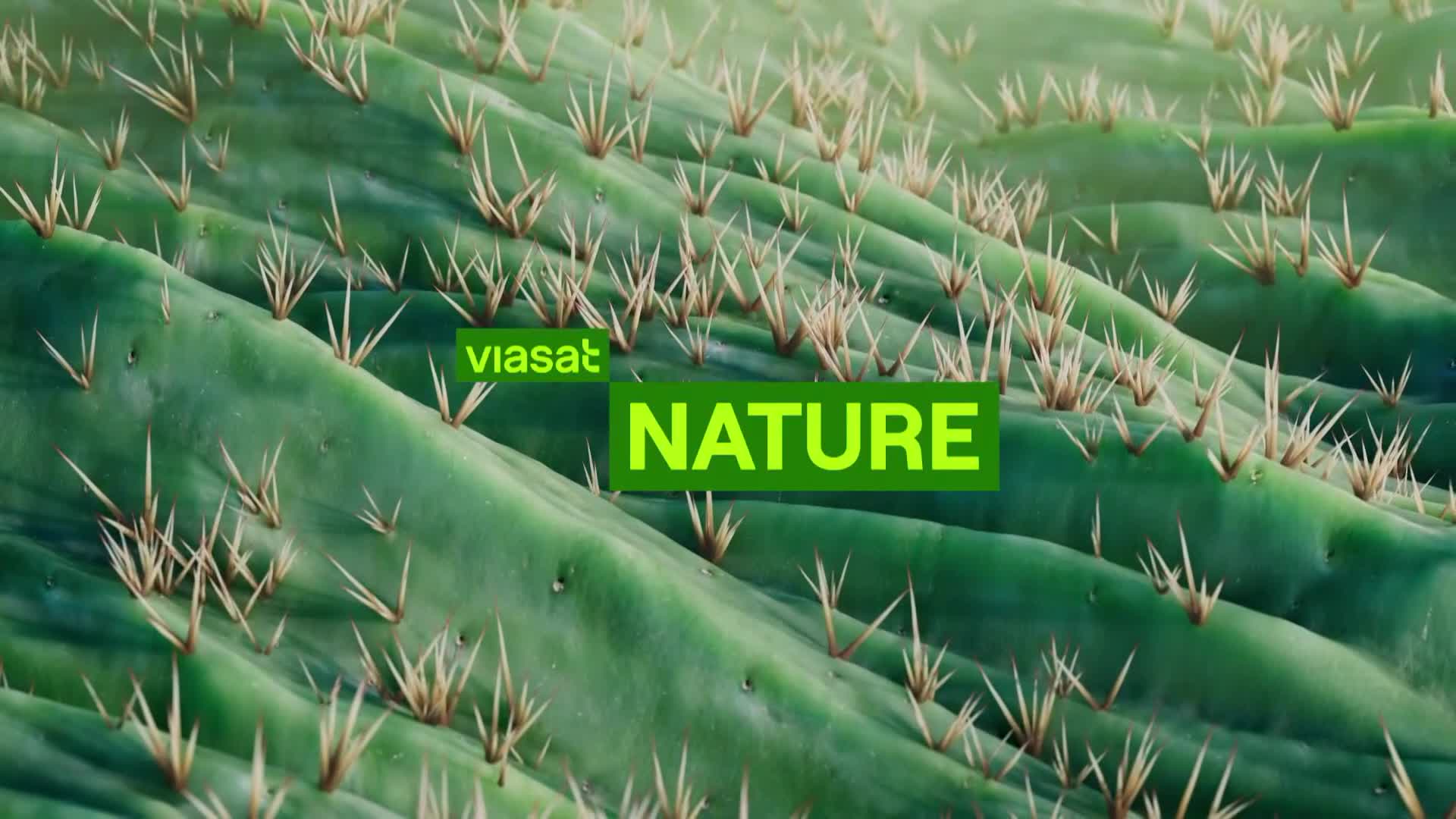 ViasatNature