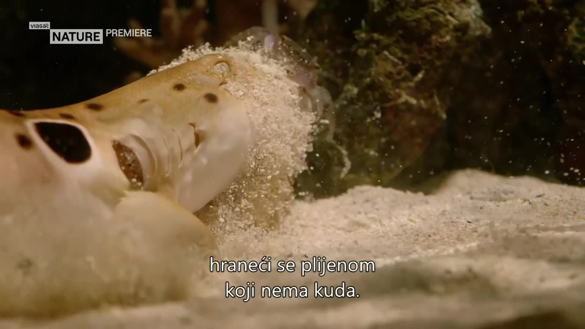 ViasatNature