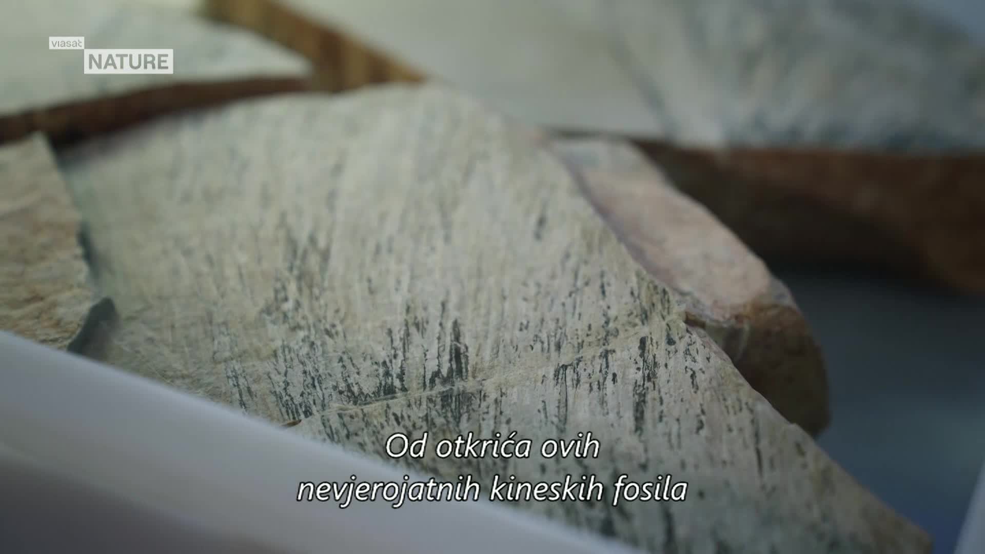 ViasatNature