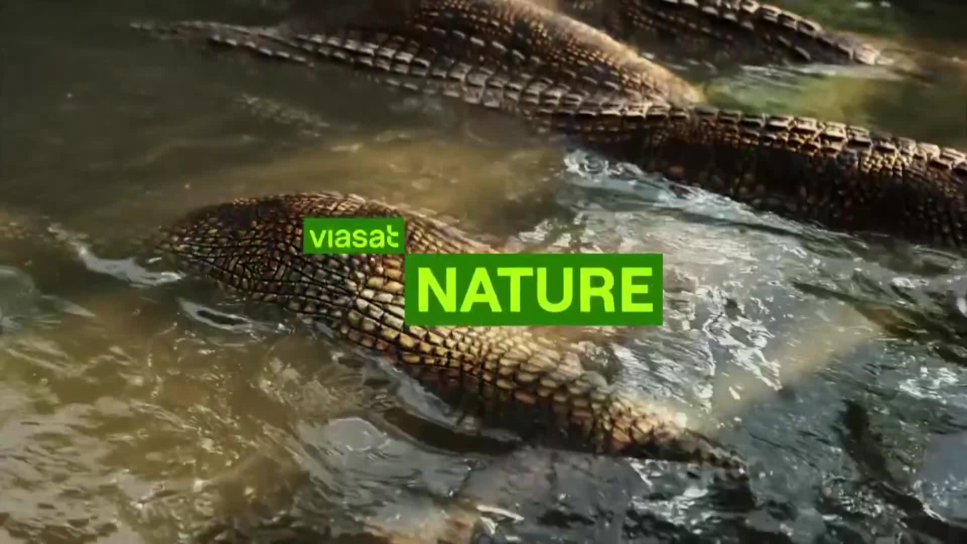 ViasatNature
