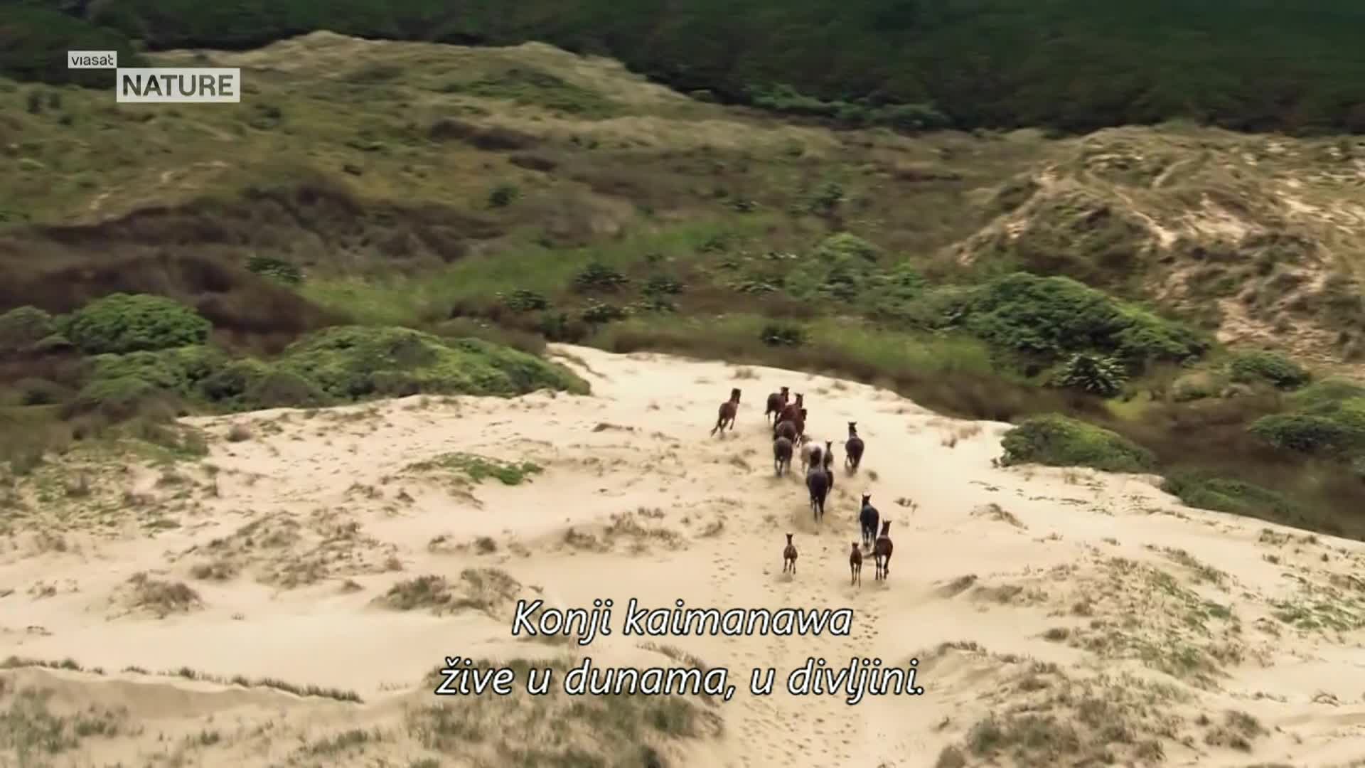 ViasatNature