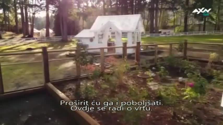AXNSpin