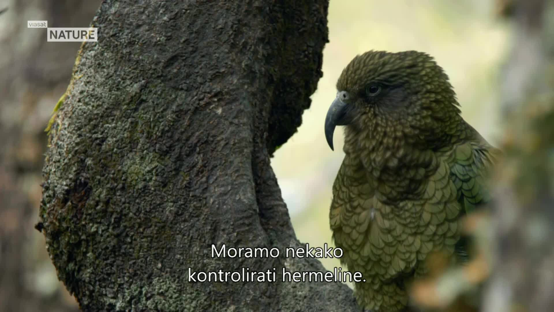 ViasatNature