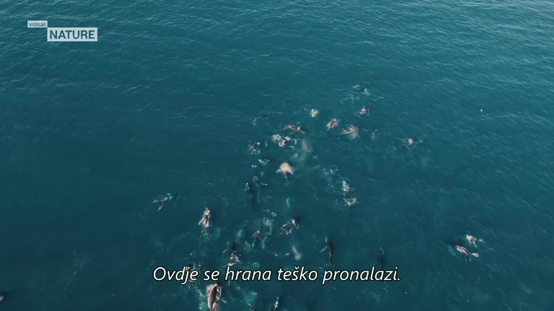 ViasatNature