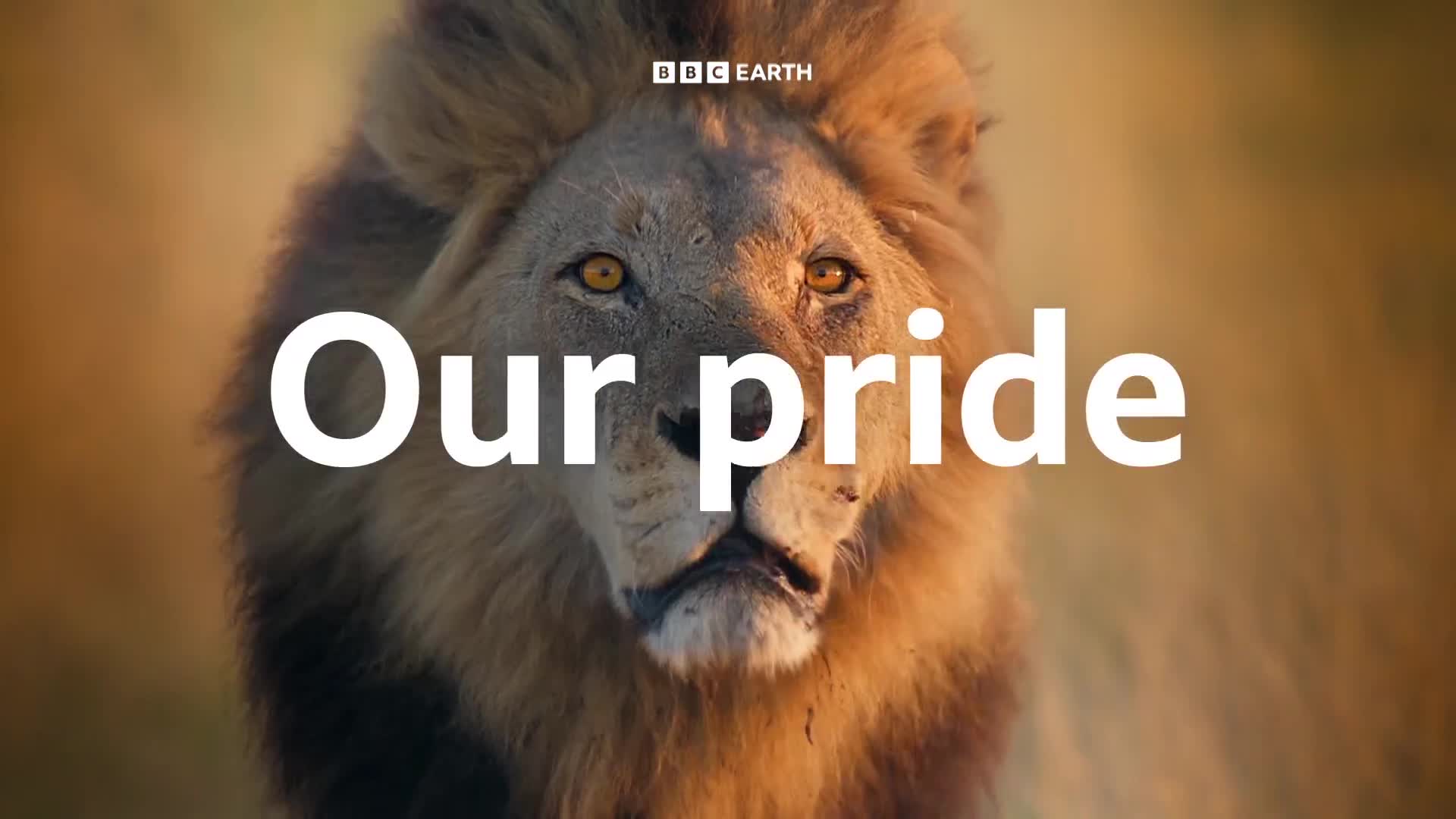 BBCEarth