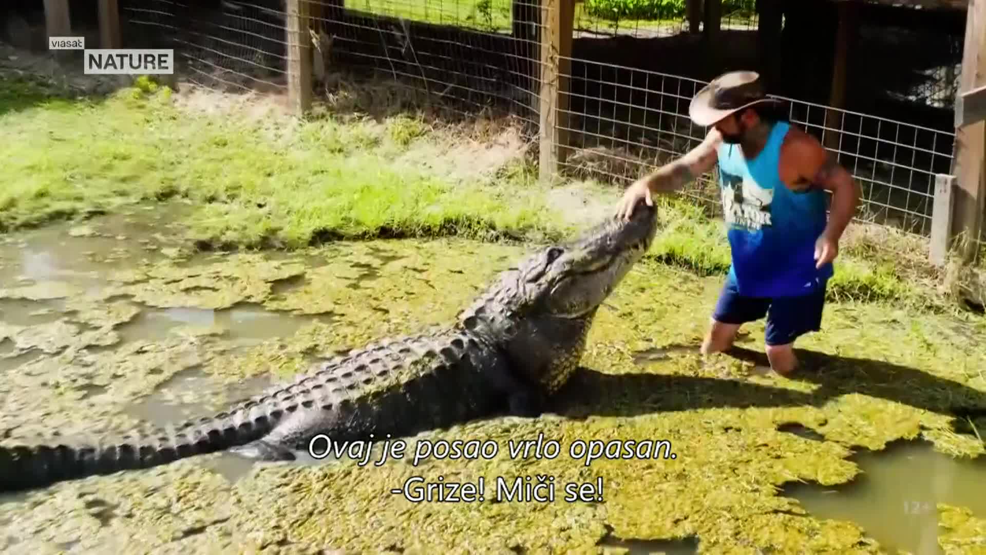 ViasatNature
