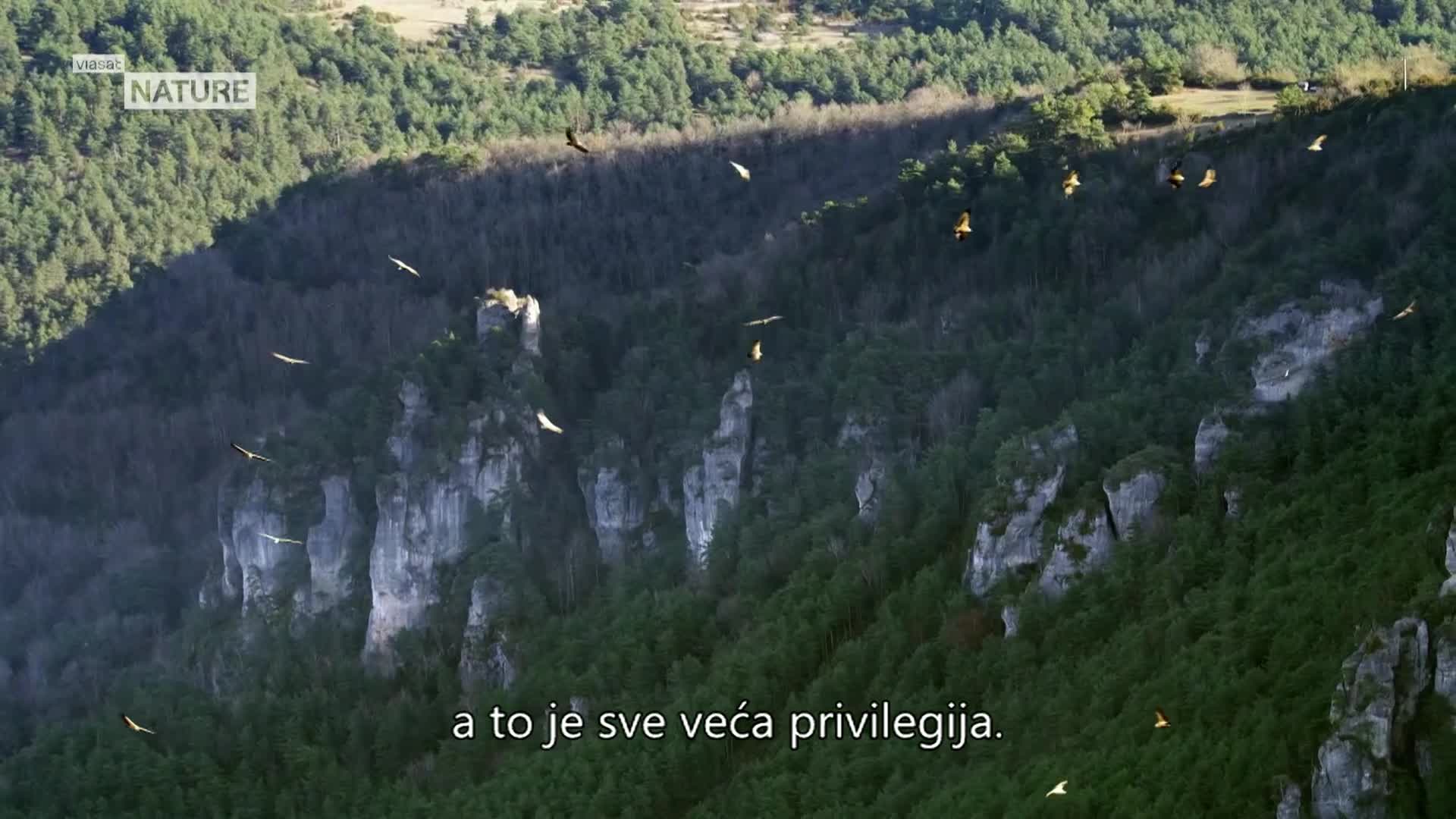 ViasatNature