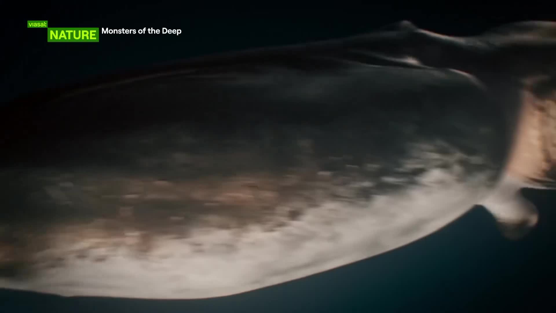 ViasatNature