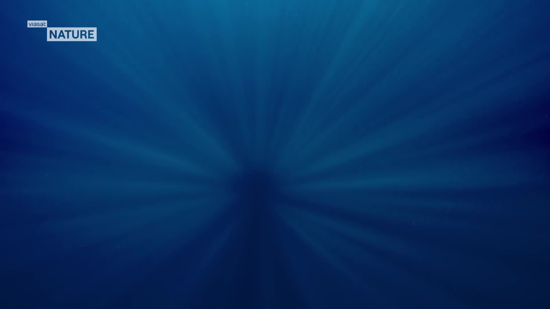 ViasatNature