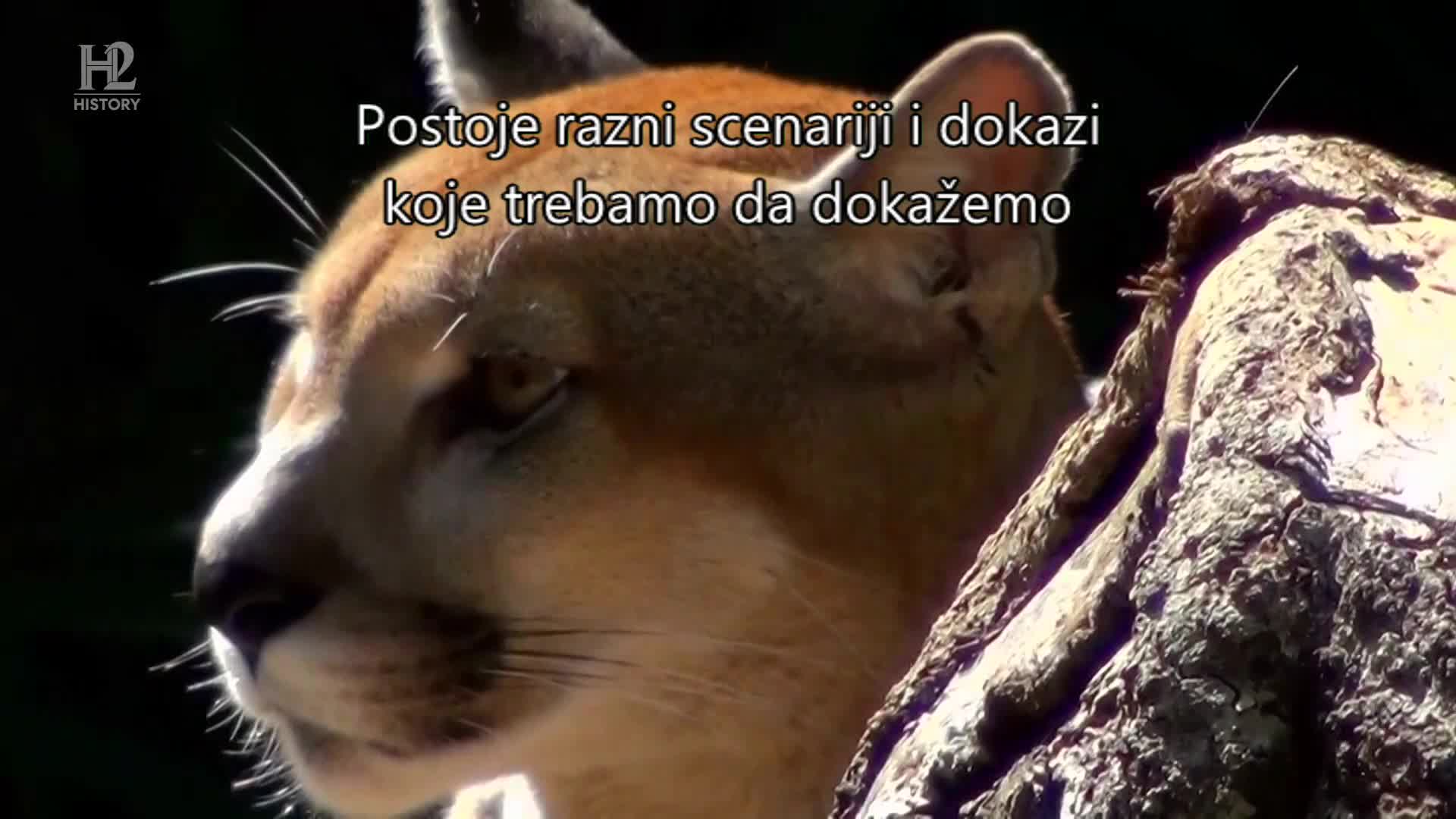 History2