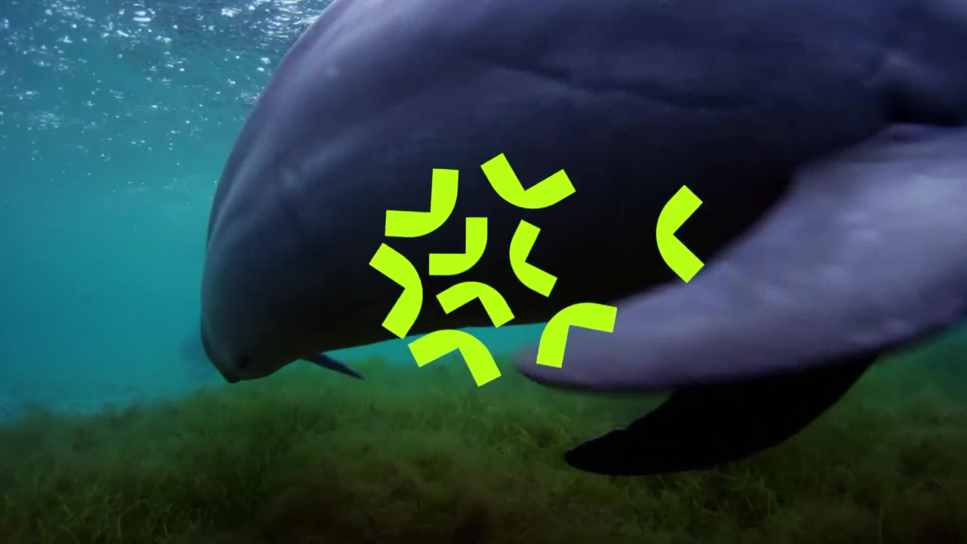 ViasatNature