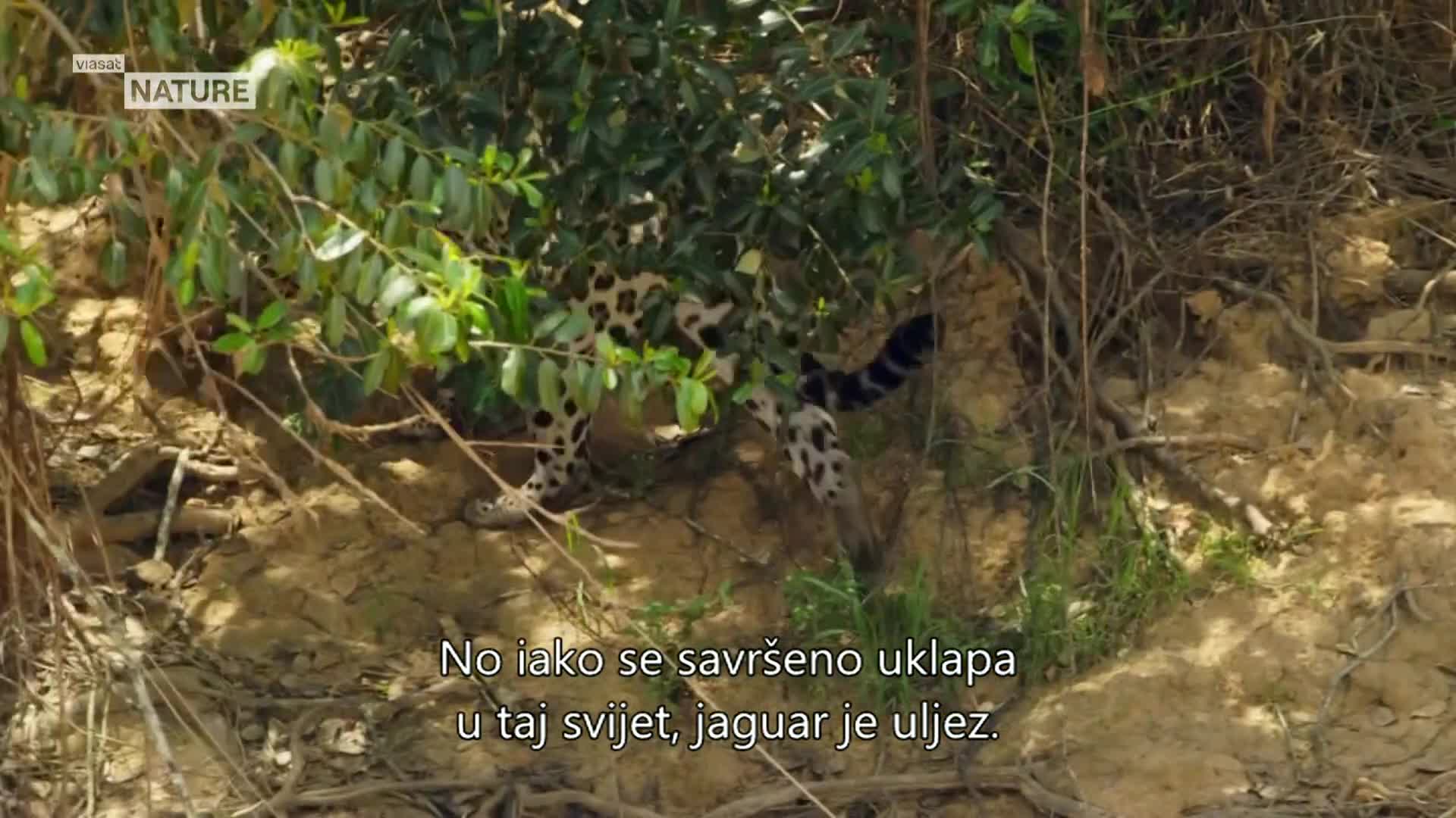 ViasatNature