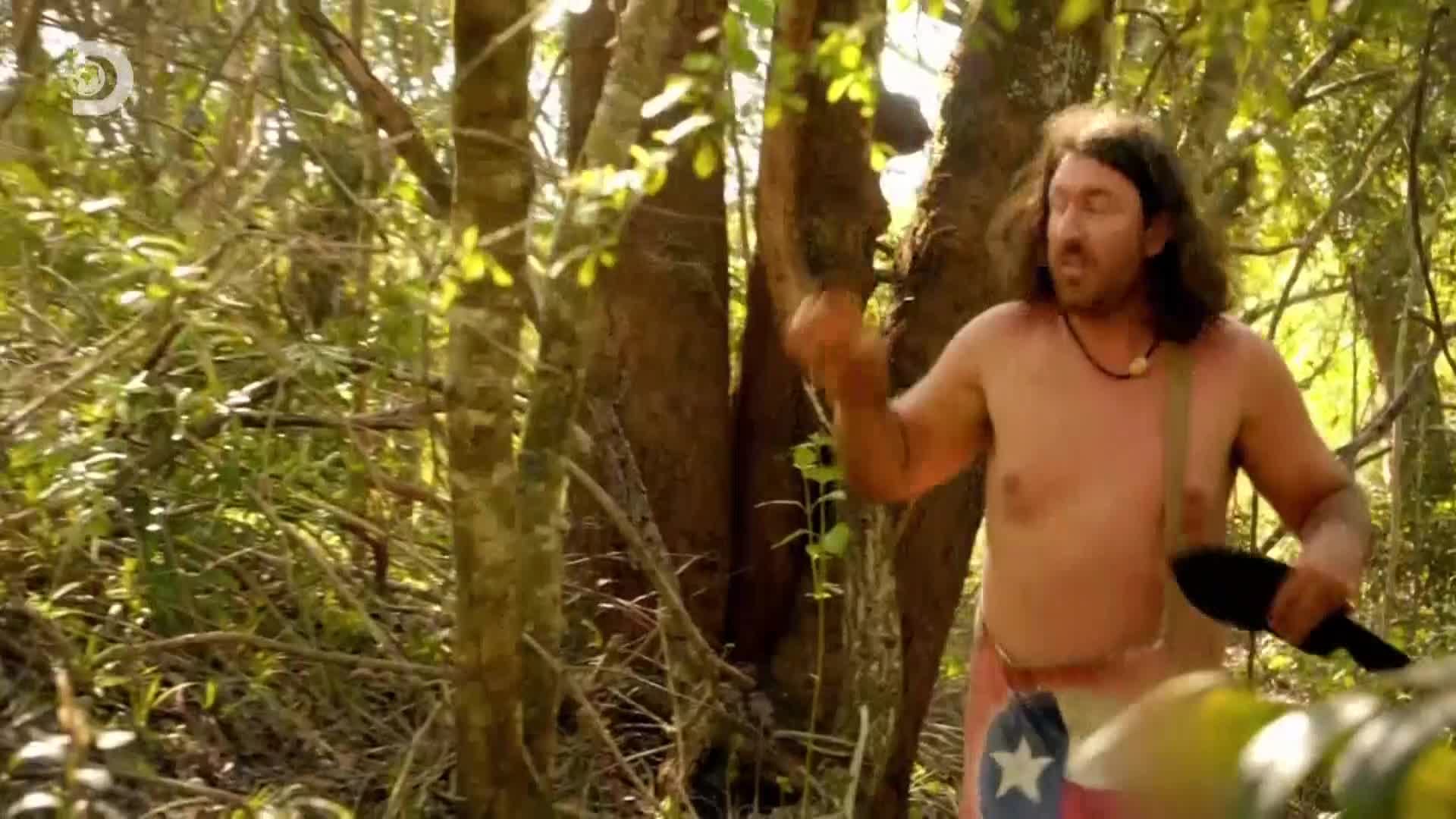 ViasatExplorer
