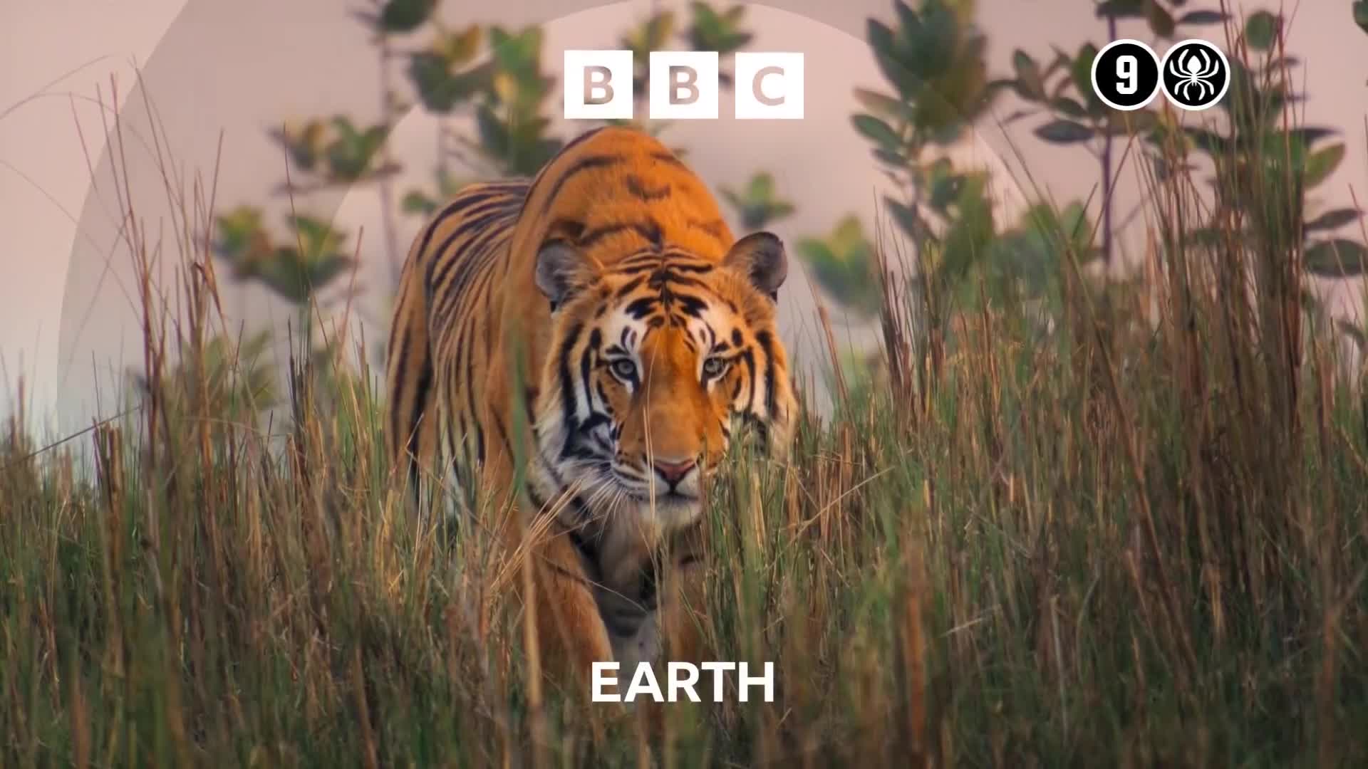 BBCEarth