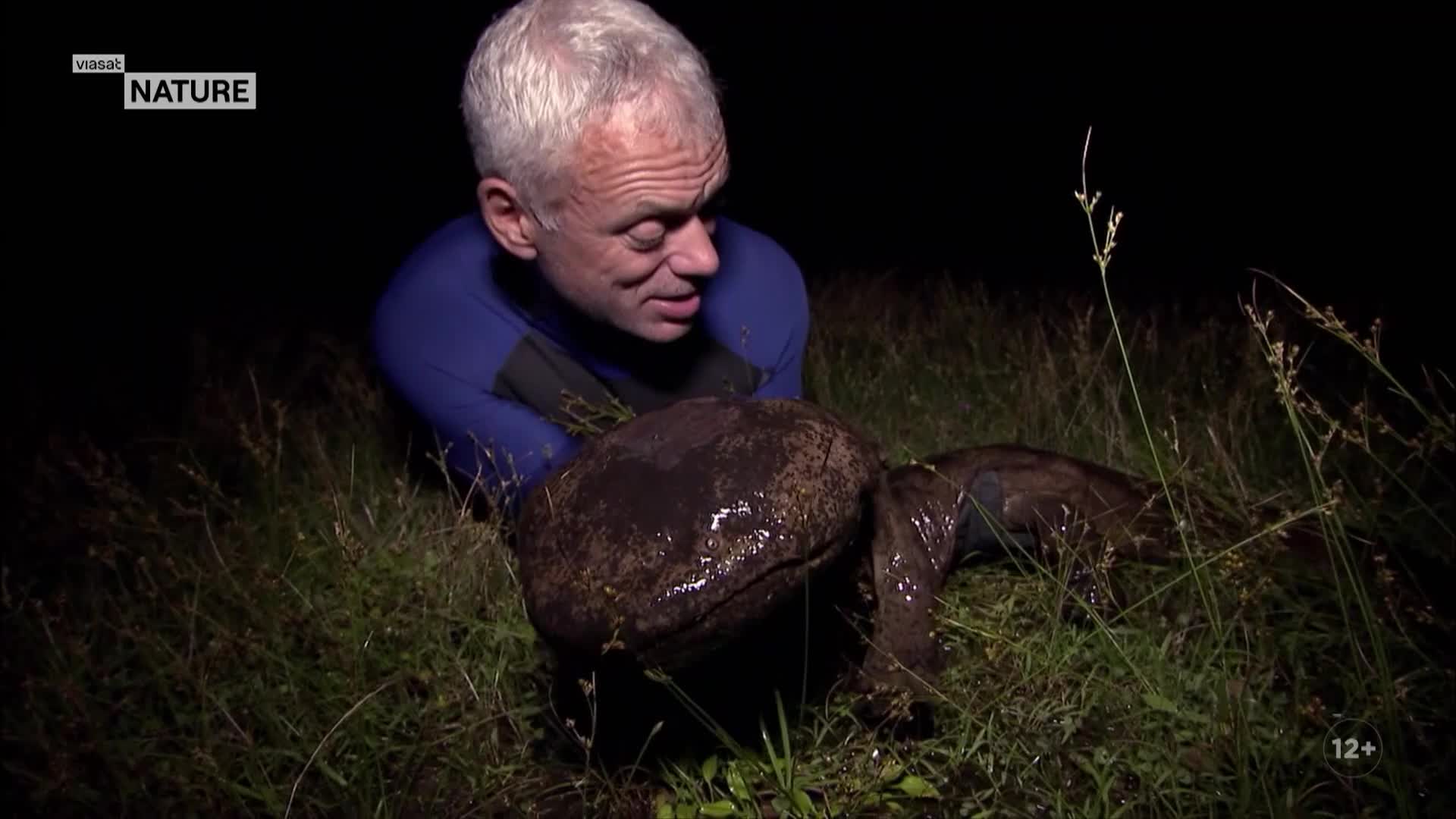 ViasatNature