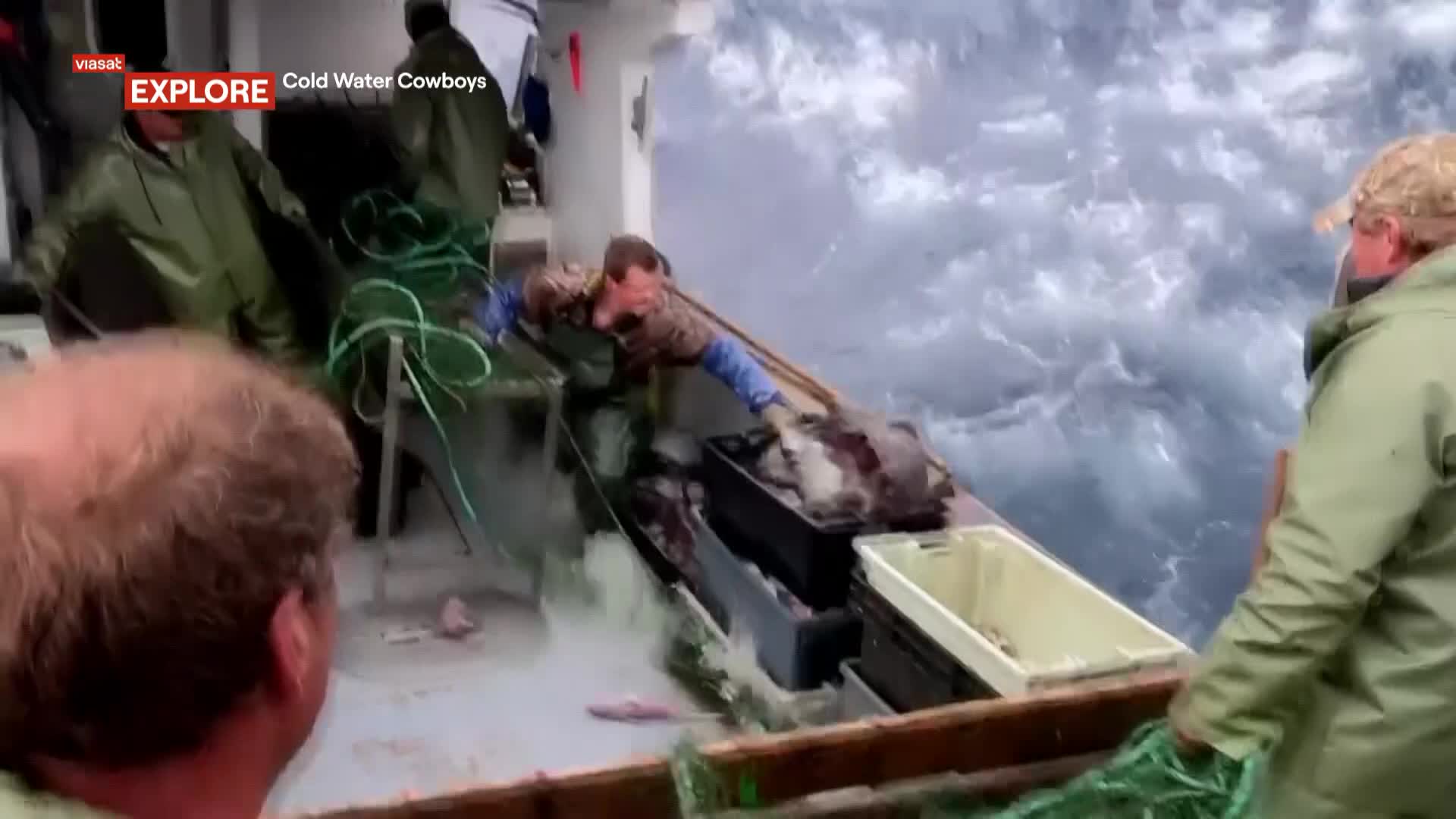 ViasatNature