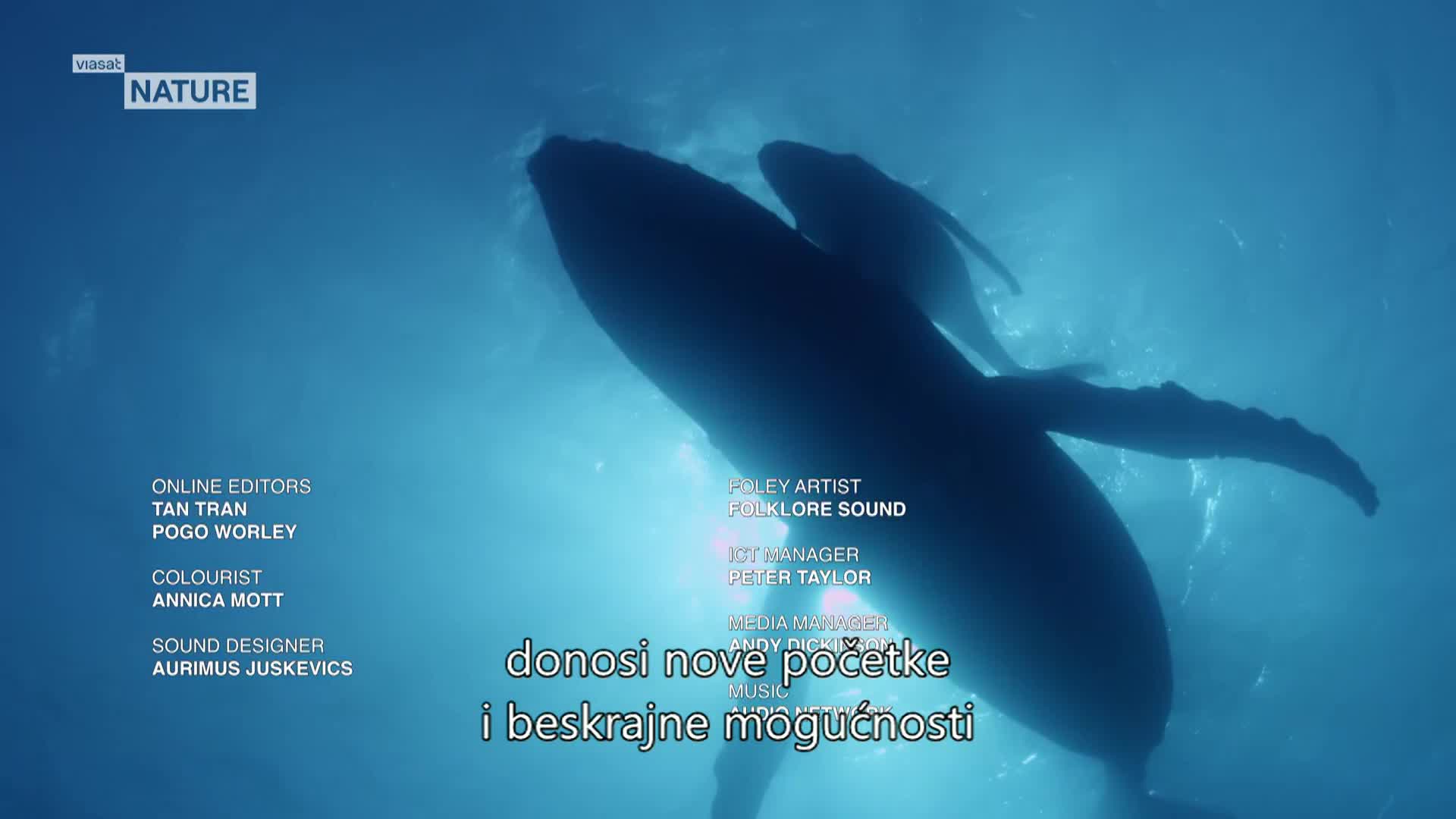 ViasatNature