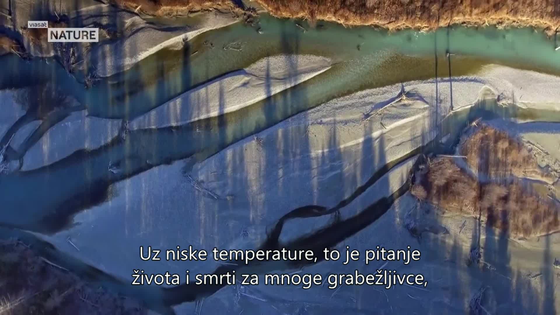 ViasatNature