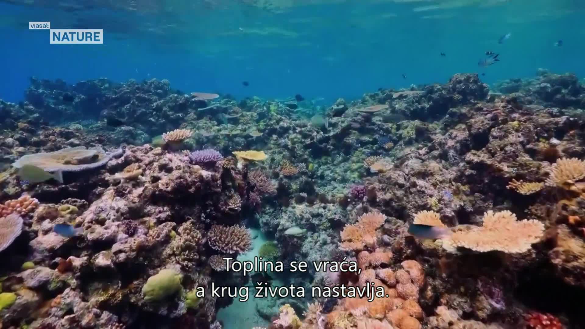 ViasatNature