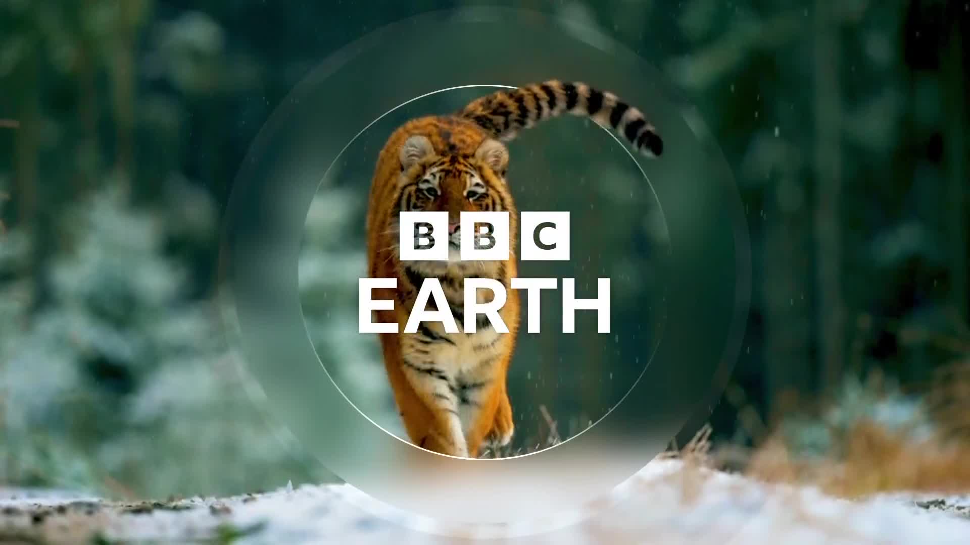 BBCEarth