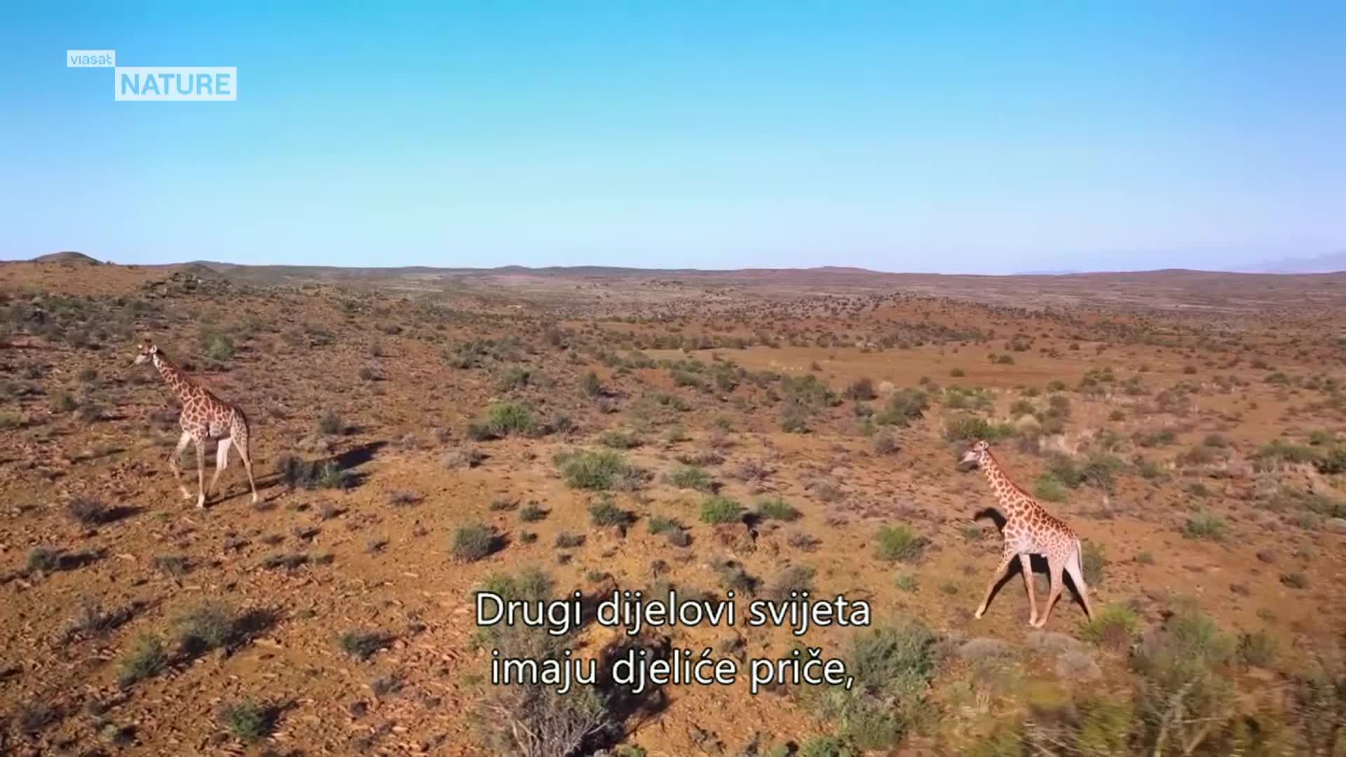 ViasatNature