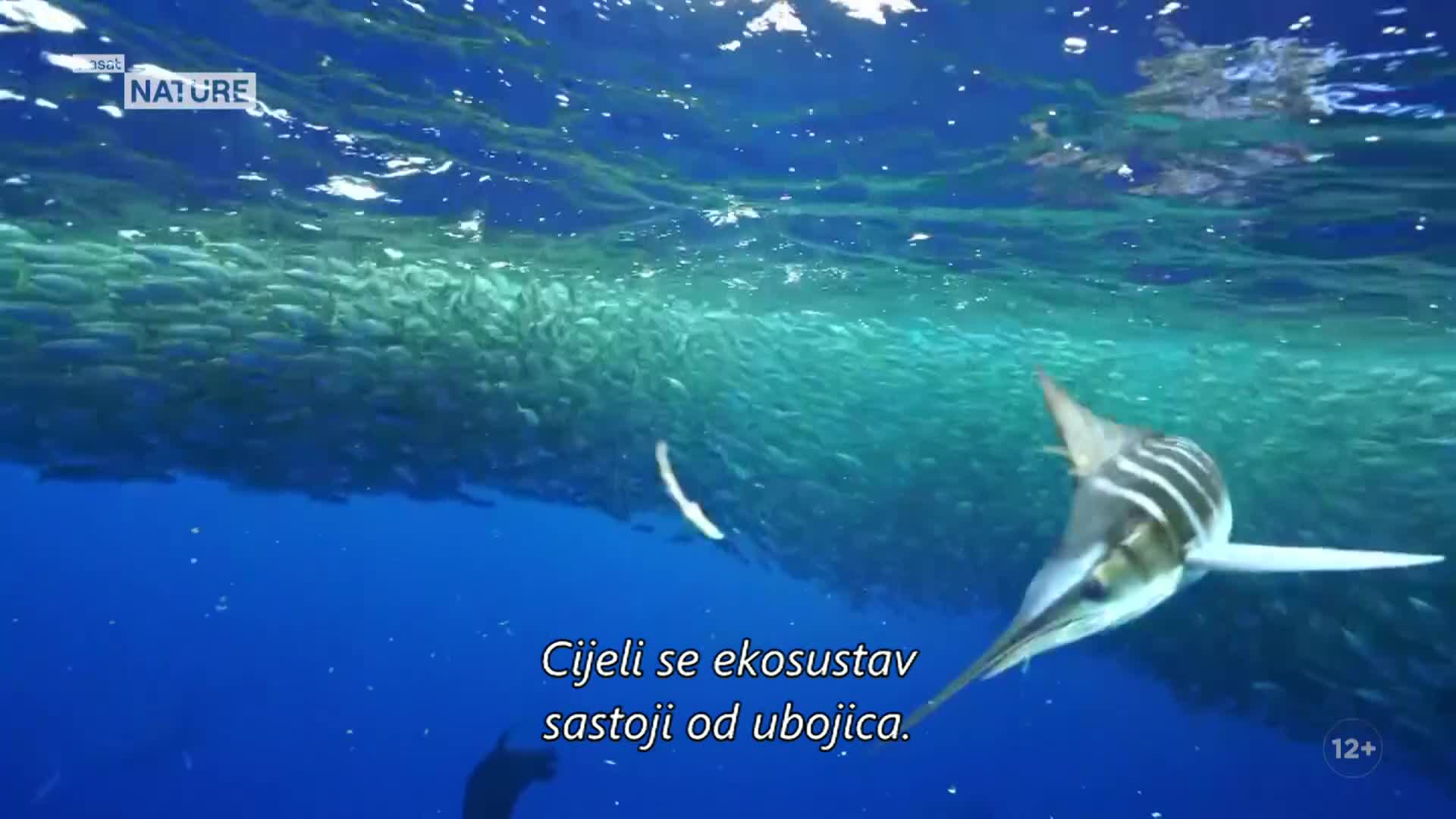 ViasatNature