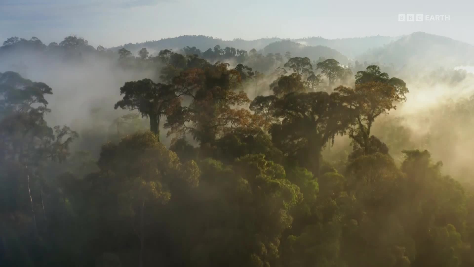 BBCEarth