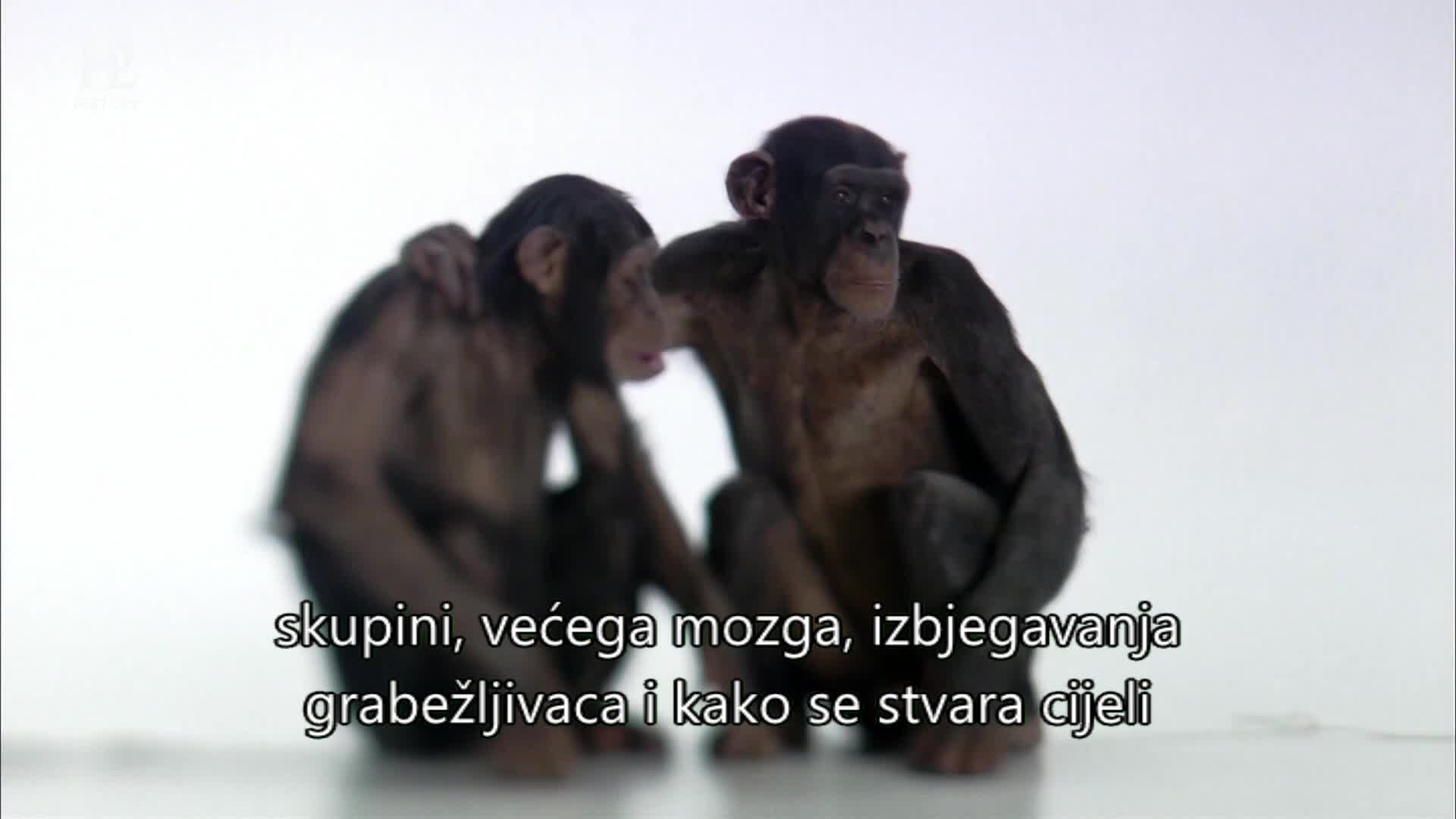 History2