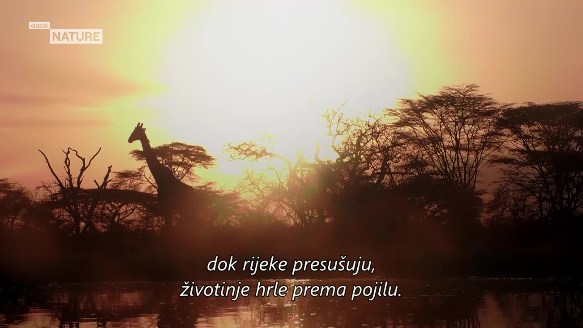 ViasatNature