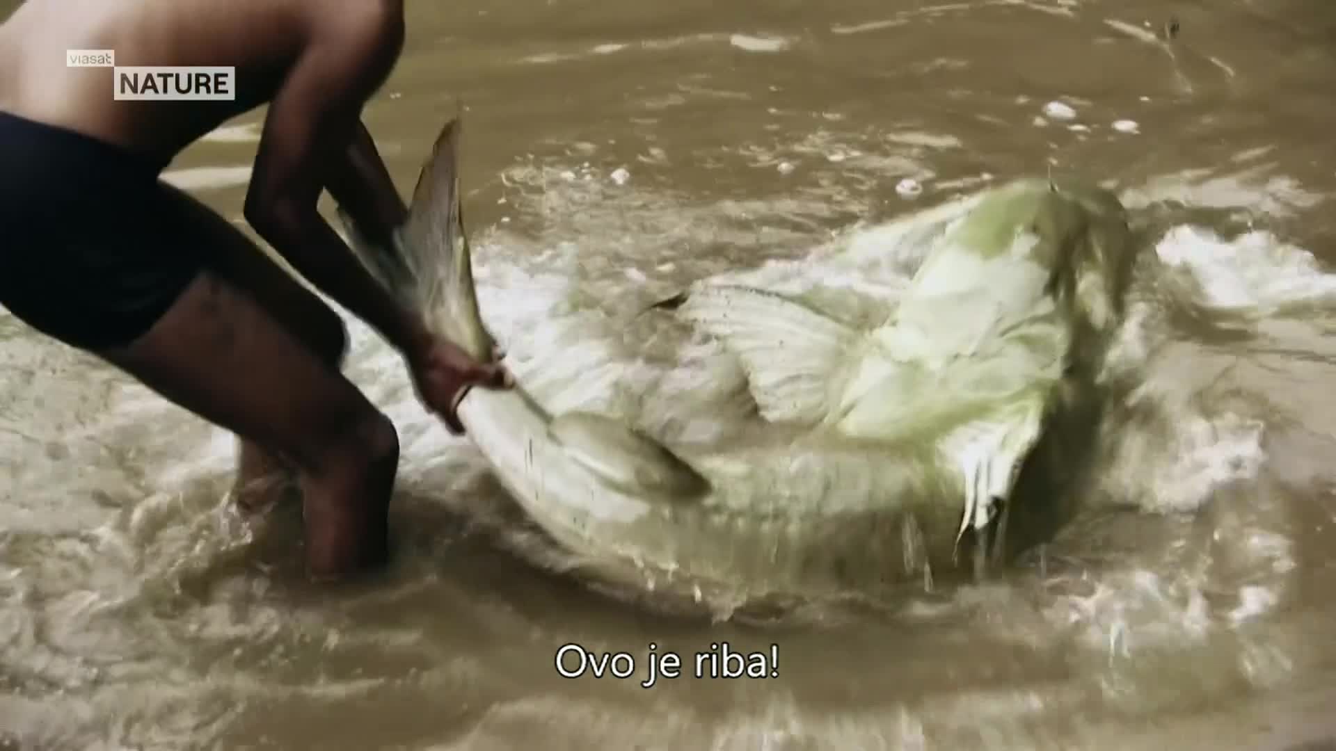 ViasatNature