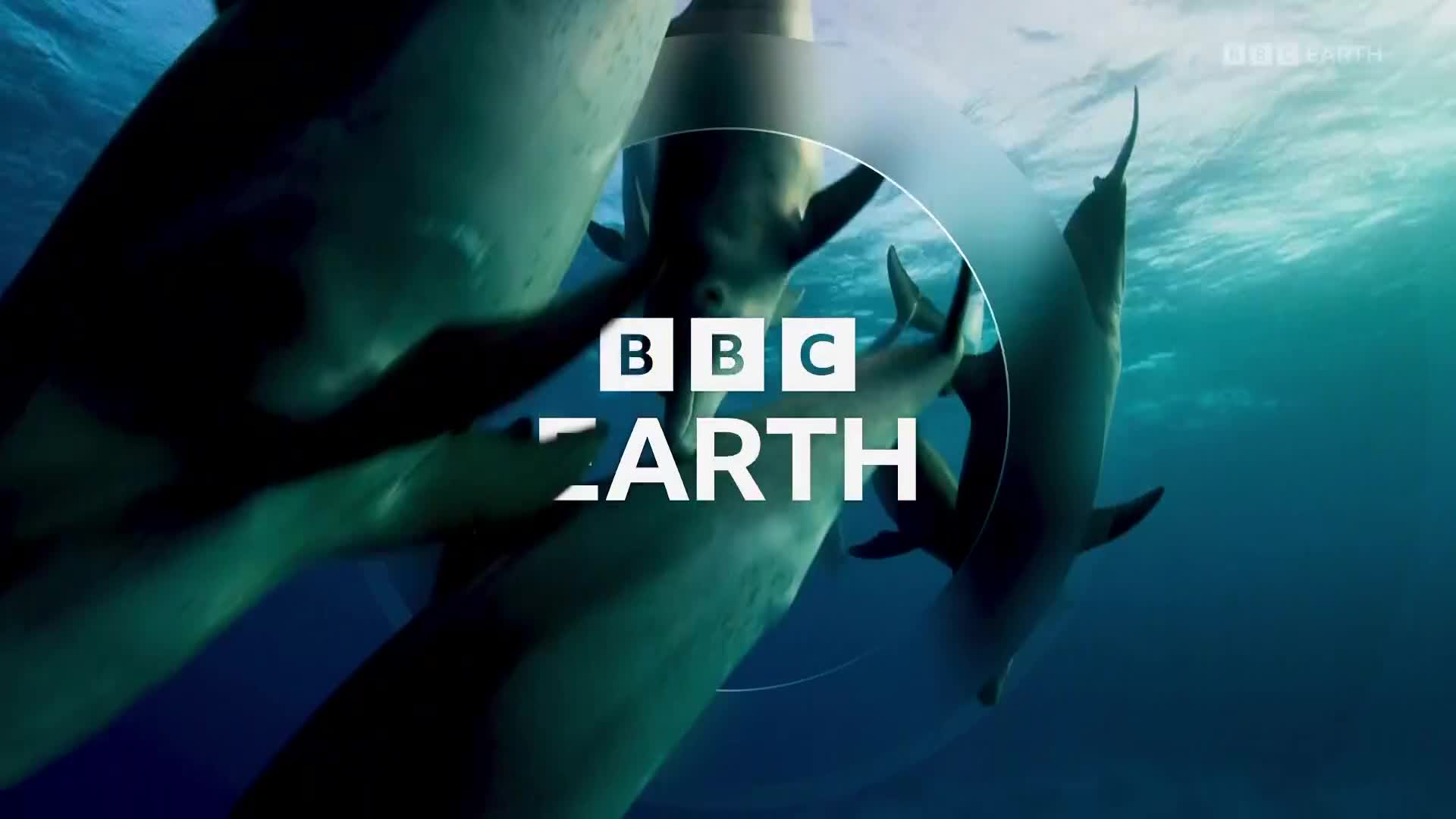 BBCEarth