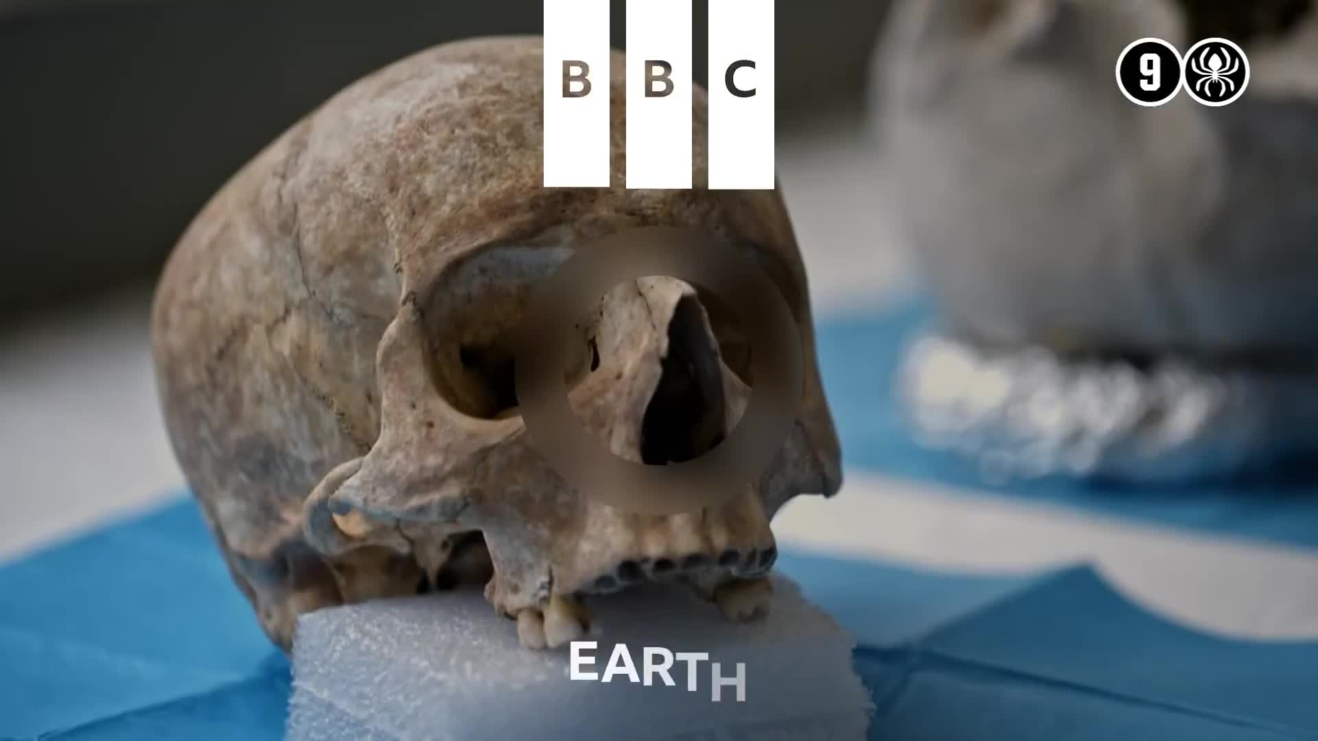 BBCEarth