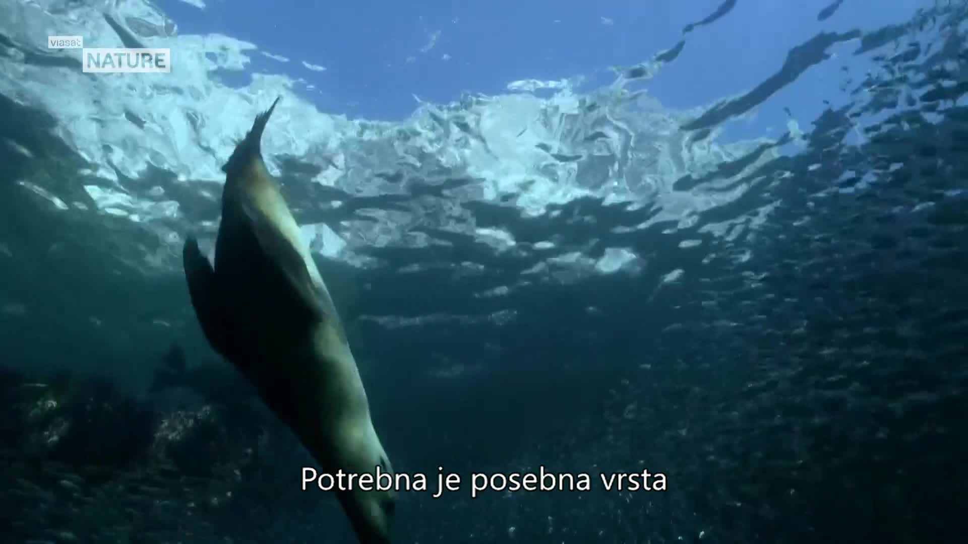 ViasatNature