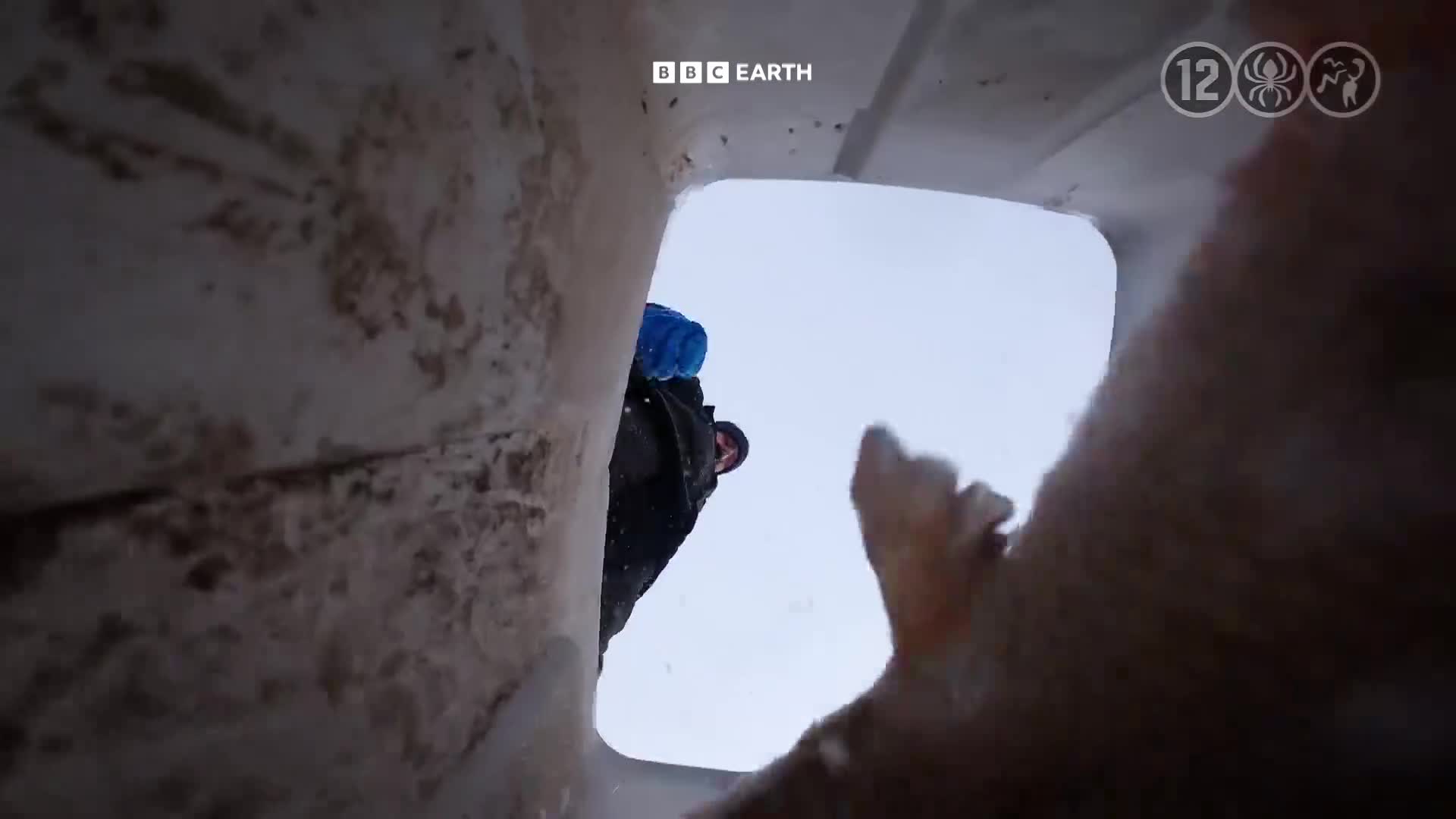 BBCEarth