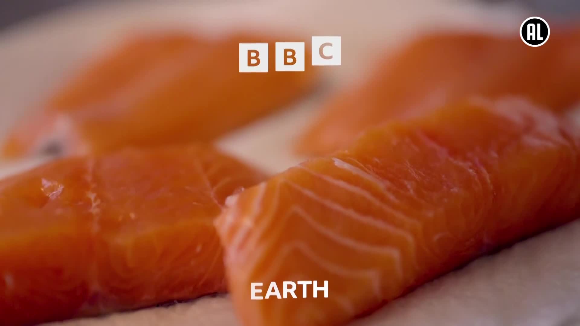 BBCEarth