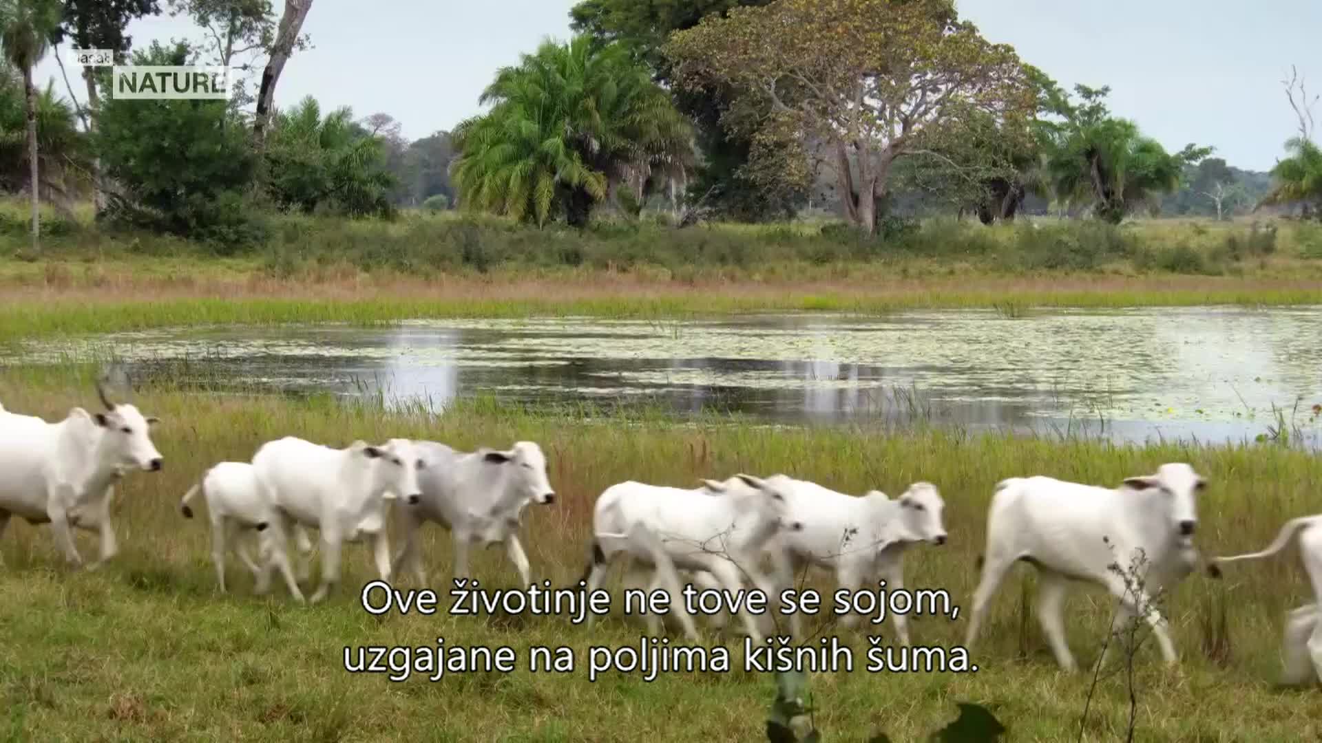 ViasatNature