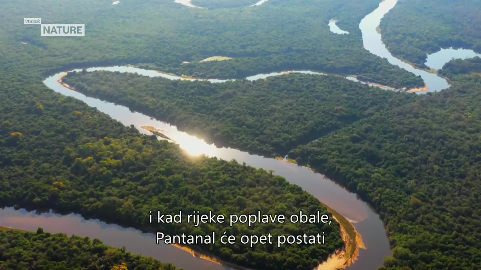 ViasatNature