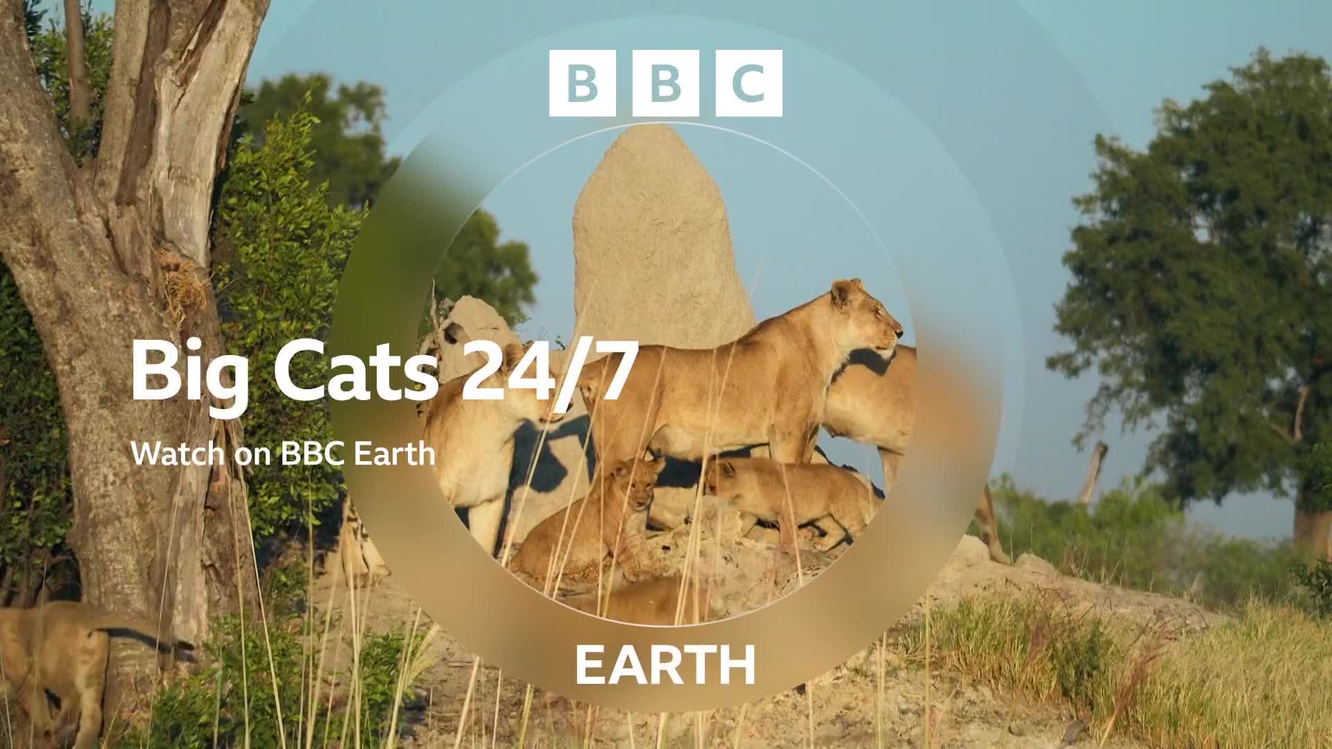 BBCEarth