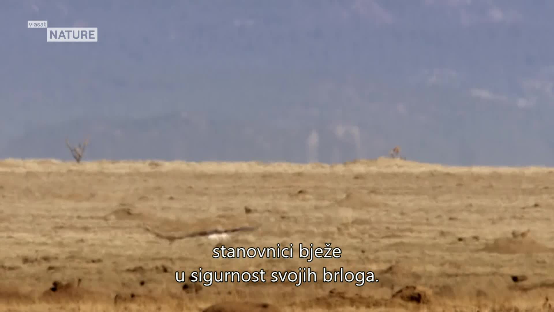 ViasatNature