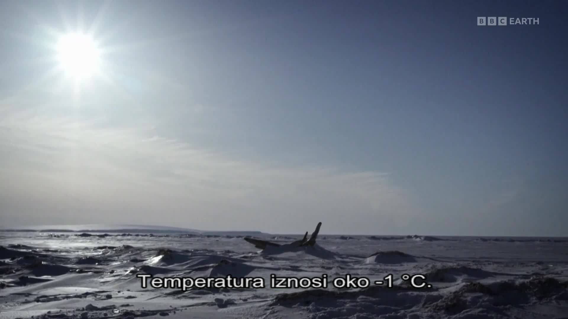 BBCEarth