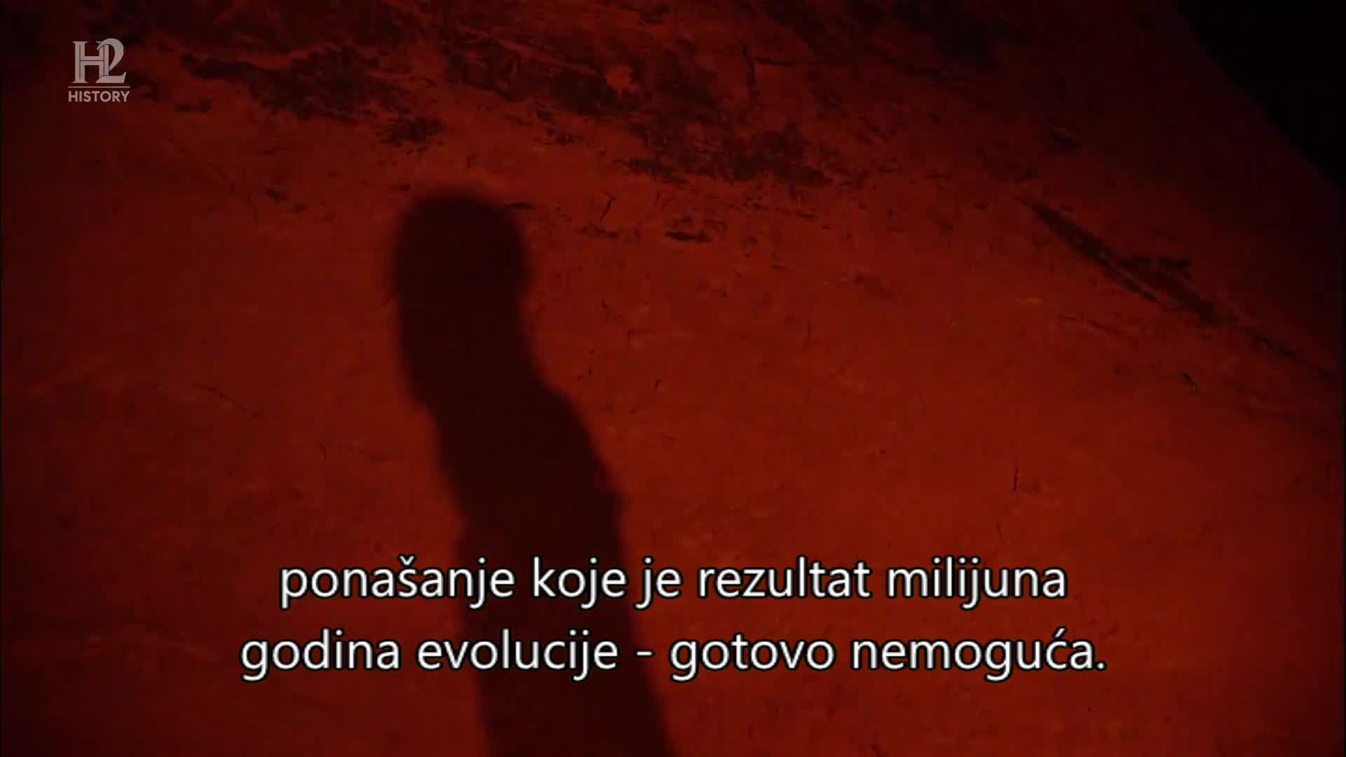 History2