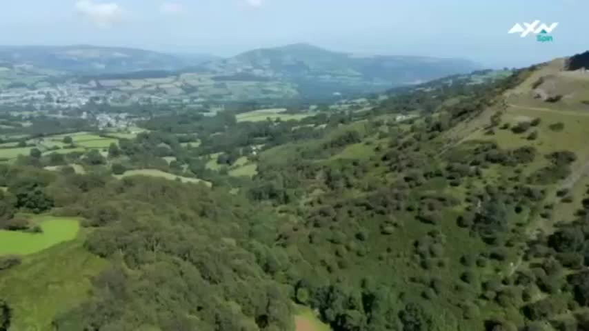 AXNSpin