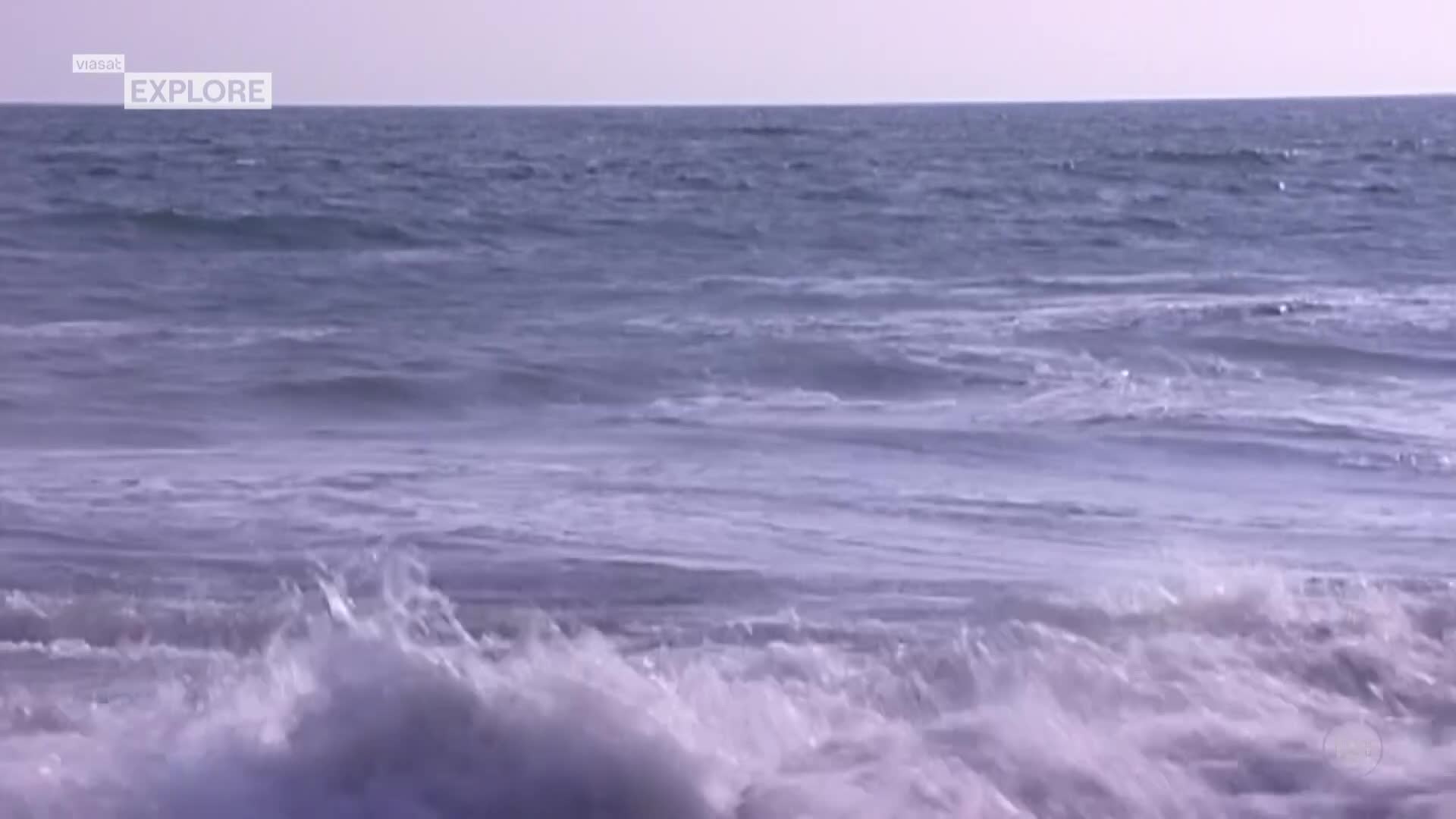 ViasatExplore