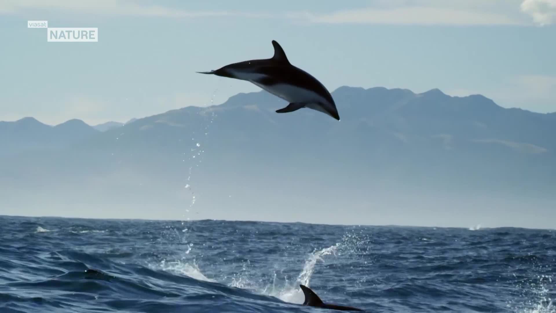 ViasatNature