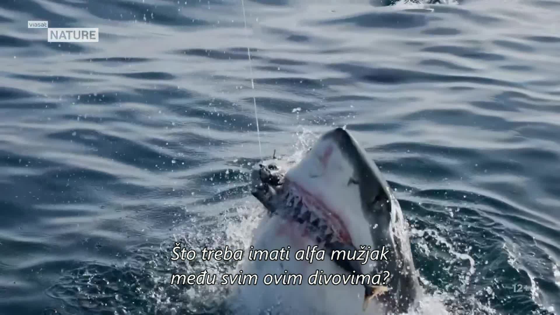 ViasatNature