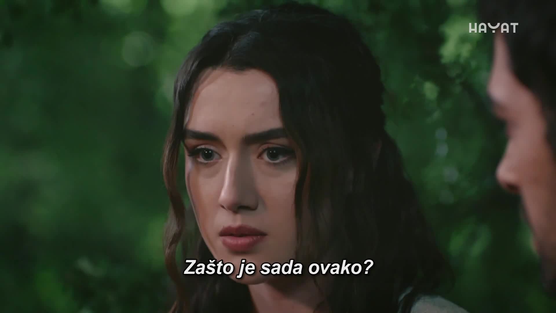 hayat