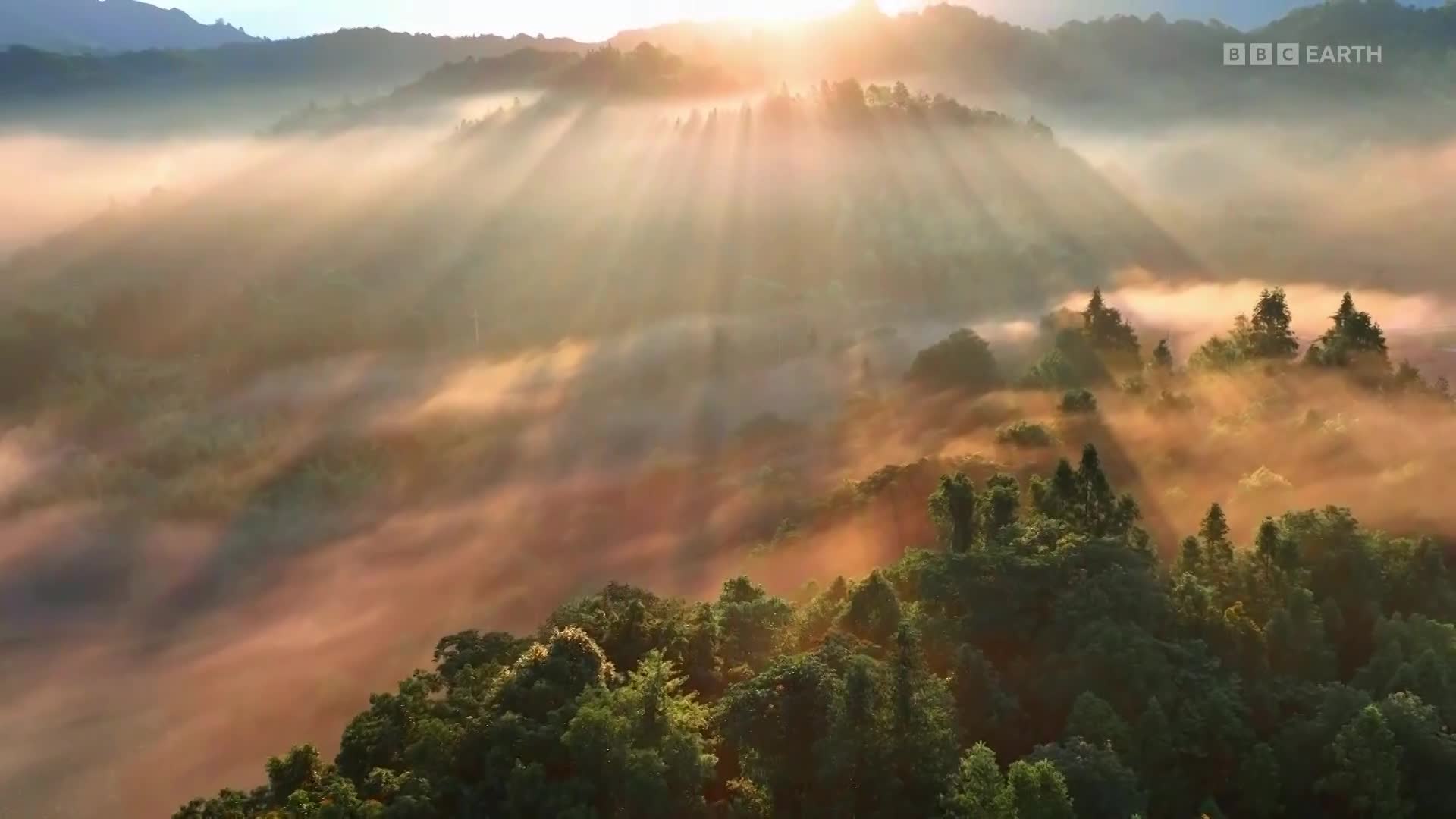BBCEarth