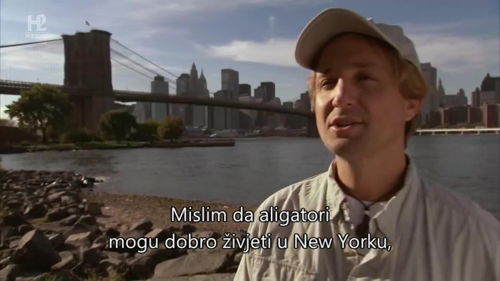 History2