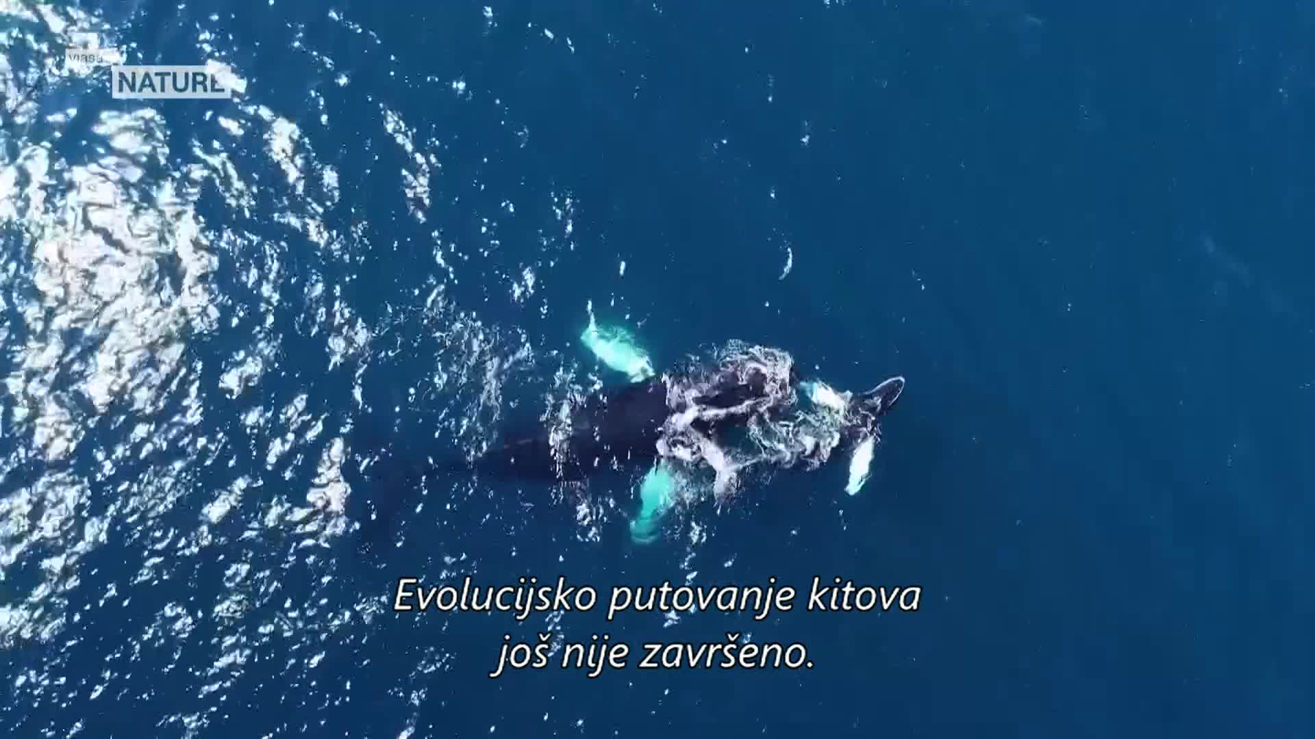 ViasatNature