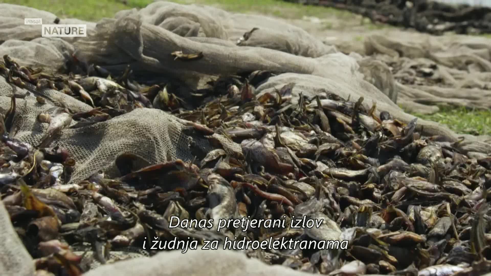 ViasatNature